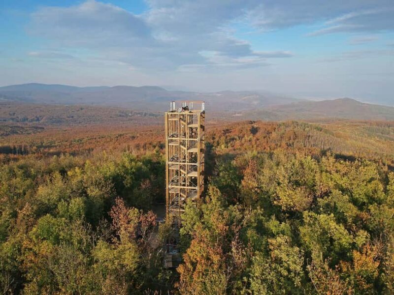 Modra & Pezinok hiking tour - An In-Depth Look at the Modra & Pezinok Hike