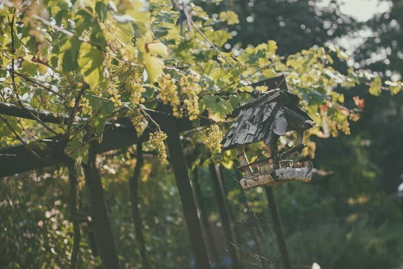 Modra: Private Wine Tasting at a Family-Operated Winery - An In-Depth Look at the Modra Wine Tasting Experience