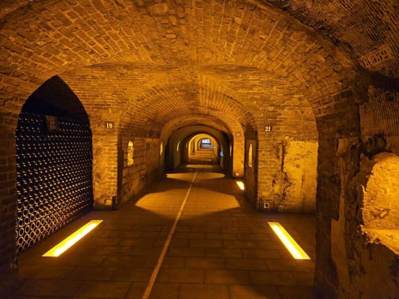 Moet et Chandon Tasting and Fun Private Tour in Champagne - A Closer Look at the Itinerary