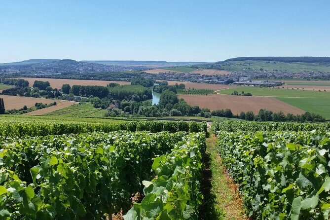 Moet et Chandon Tasting and Fun Private Tour in Champagne - Introduction: Why This Tour Might Be Your Perfect Champagne Day