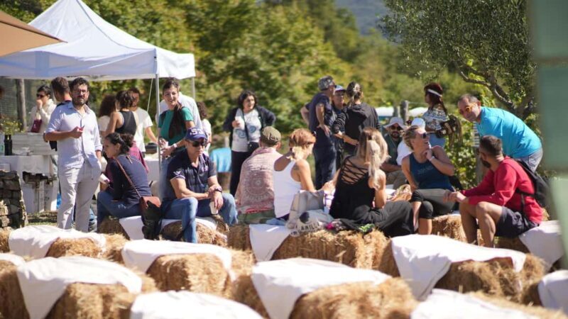 Moio della Civitella: Adopt a Vine and Grow Your Wine - Key Points