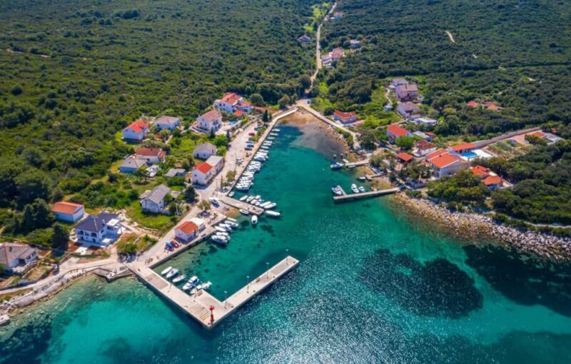 Molat Island Dolphin Watching Boat Tour 6hours TOUR - An In-Depth Look at the Molat Island Dolphin Watching Tour