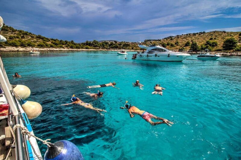 Molat Island Dolphin Watching Boat Tour 6hours TOUR - Final Thoughts: Who Will Love This Tour?