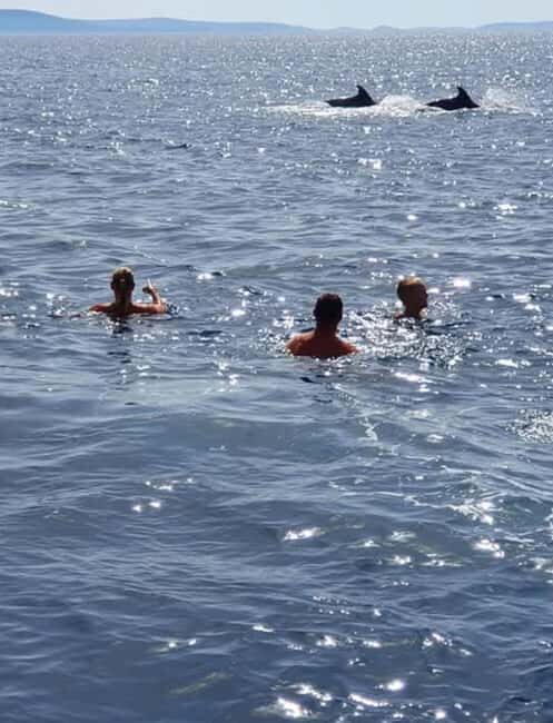 Molat Island Dolphin Watching Boat Tour 6hours TOUR - FAQs