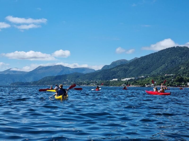 Molde - Guided kayak tour - FAQ
