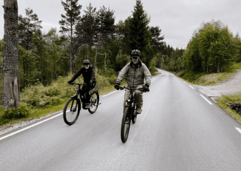 Molde: Highlights of Molde Guided Tour by e-Bike - Key Points