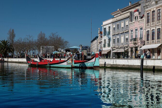 Moliceiro Boat Tour on the Ria de Aveiro - The Experience in Detail