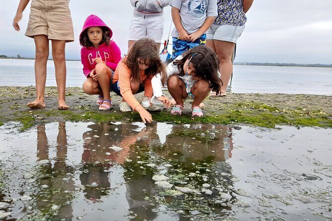 Moliceiro boat trip, with experience in bivalves harvesting - FAQ