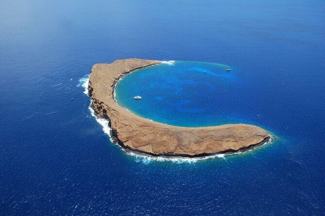 Molokini and Turtle Arches Snorkeling Trip from Ma'alaea Harbor - Key Points