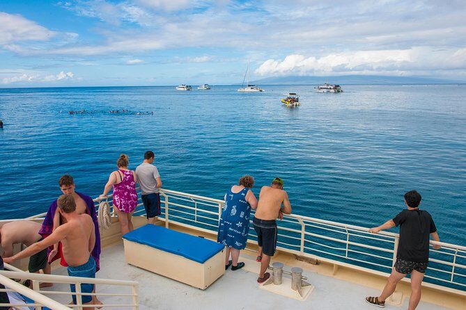 Molokini and Turtle Arches Snorkeling Trip from Ma'alaea Harbor - Frequently Asked Questions