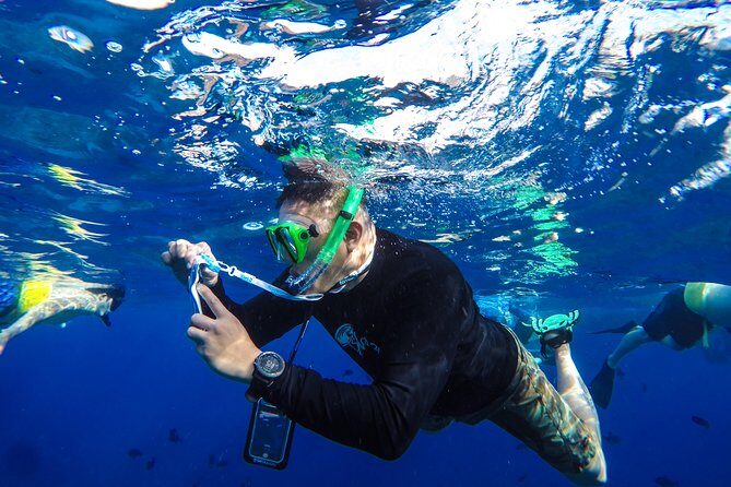 Molokini and Turtle Arches Snorkeling Trip from Ma'alaea Harbor - Final Thoughts