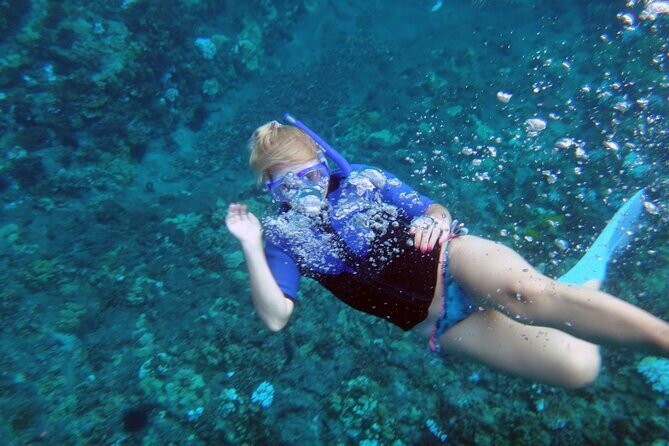 Molokini Crater Snorkeling Adventure - The Bottom Line