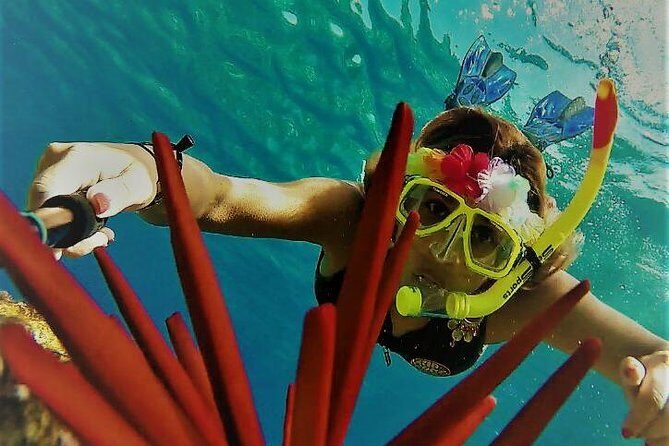 Molokini Crater Zodiac Adventure: Snorkel and Turtle Cove Swim - In-Depth Look at the Experience