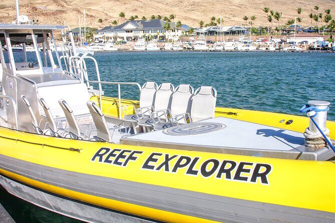 Molokini Crater Zodiac Adventure: Snorkel and Turtle Cove Swim - Final Thoughts