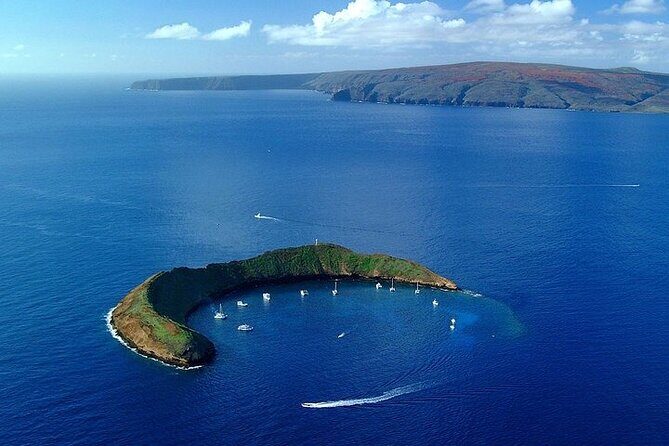Molokini or Coral Gardens PM Snorkel Aboard Malolo - What to Expect: Your Day on the Water