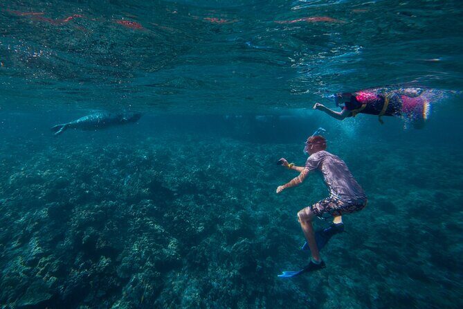 Molokini Snorkel and Performance Sail from Ma'alaea Harbor - Practical Details