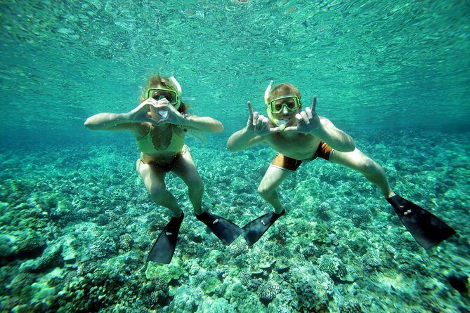 Molokini Snorkel and Performance Sail from Ma'alaea Harbor - The Sum Up