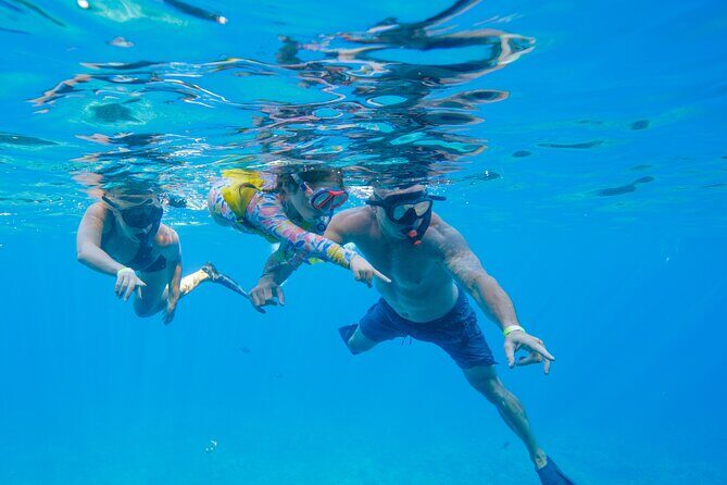 Molokini Snorkel Trip 2-Hour From Kihei - Final Thoughts