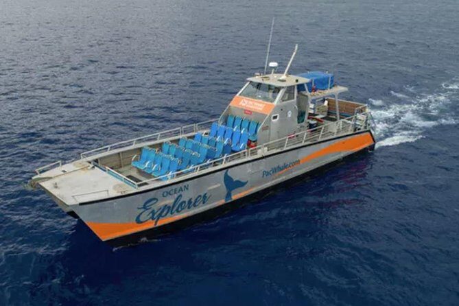 Molokini & Turtle Adventure: Small Group from Ma'alaea Harbor - An Honest Look at the Molokini & Turtle Adventure