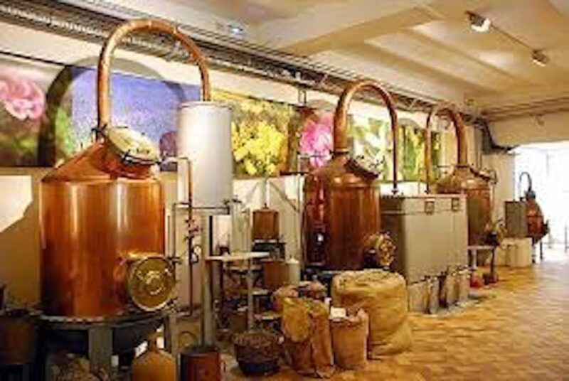 Monaco and Perched Medieval Villages Day Tour from Nice - Exploring the Itinerary: What You’ll See and Experience