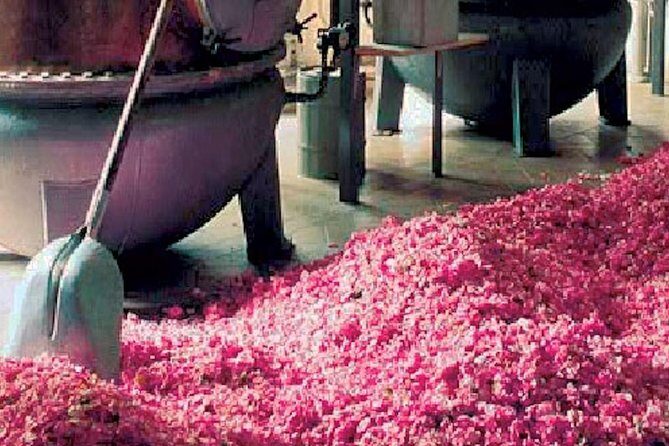 Monaco and Perched Medieval Villages - private & Guided Tour - Final Thoughts