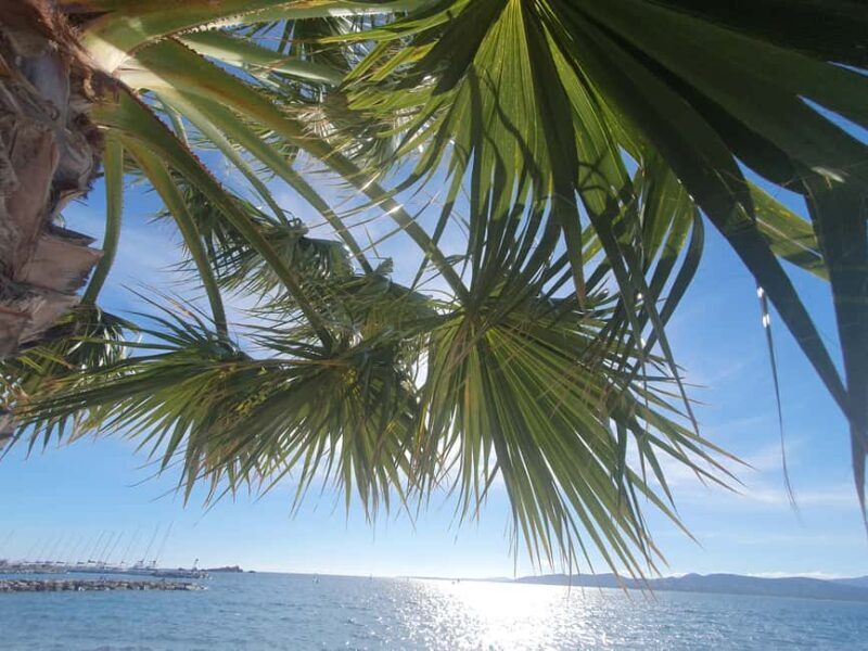 Monaco: Guided Tour with Oceanographic Museum & Prince Cars - Exploring the Monaco Guided Tour with Oceanographic Museum & Prince Cars – Is It Worth it?