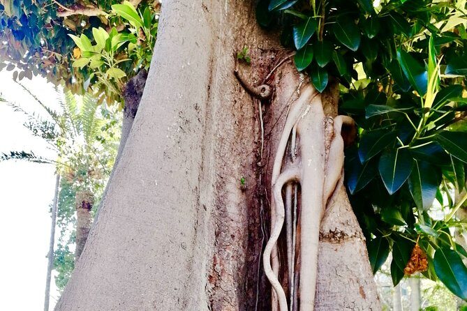 Monaco & Monte-Carlo: Classics & Hidden Gems - Walking & Boat - FAQ