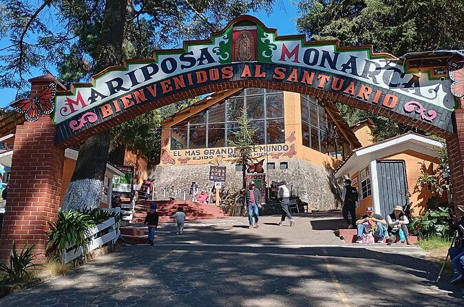 Monarch Butterflies El Rosario Preserve from Mexico City - Final note: Who is this best for?