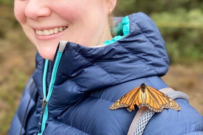 Monarch Butterfly: Biosphere Reserve & Christmas Tour in Mexico - The Day in Detail: What to Expect