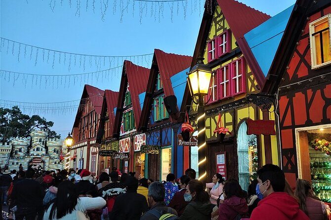 Monarch Butterfly: Biosphere Reserve & Christmas Tour in Mexico - Who Will Love This Tour?