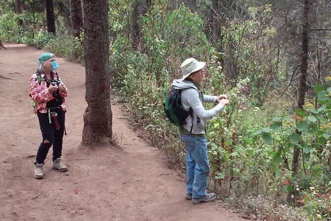 Monarch Butterfly group tour. Join me to watch #butterflies - The Itinerary: What to Expect and Why It Matters