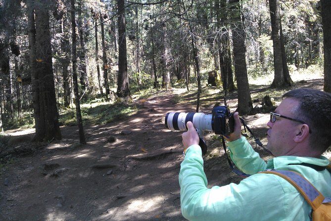 Monarch Butterfly group tour. Join me to watch #butterflies - Practical Details and Tips