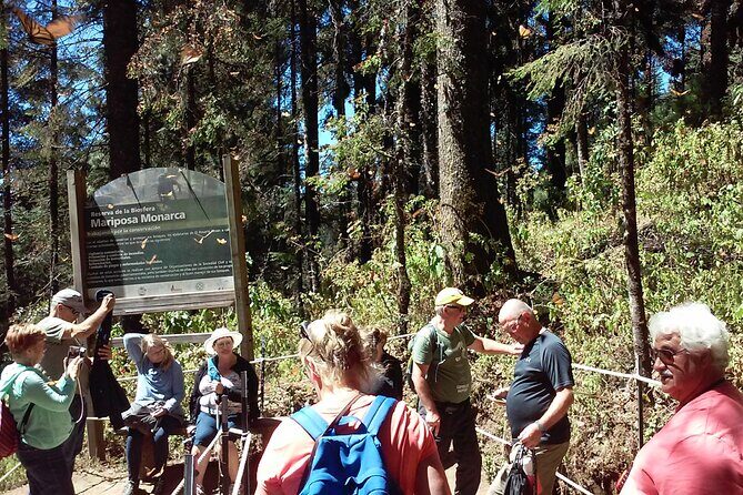 Monarch Butterfly group tour. Join me to watch #butterflies - Final Thoughts: Who Will Love This Experience?