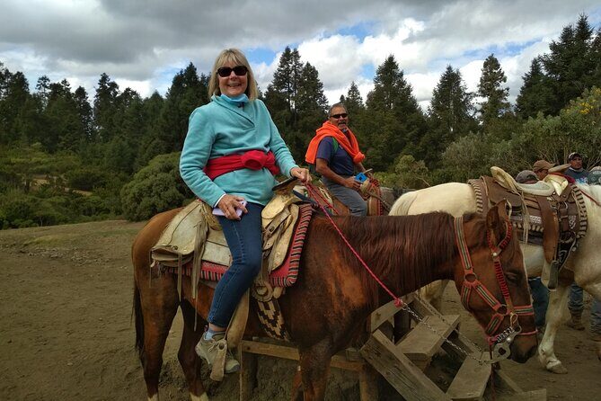 Monarch Butterfly group tour. Join me to watch #butterflies - FAQ