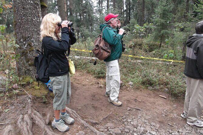 Monarch Butterfly Private Tour (Morelia) - FAQ