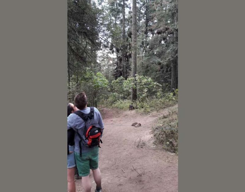 Monarch Butterfly - Who Is This Tour Best For?