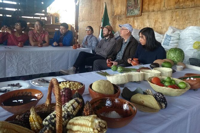 Monarch Butterfly Tour from Mexico City - The Experience: What to Expect