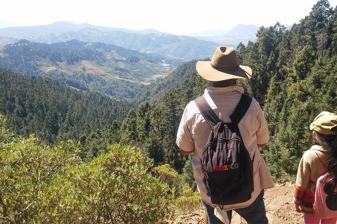 Monarch Butterfly Tour from Mexico City - Authentic Traveler Perspectives