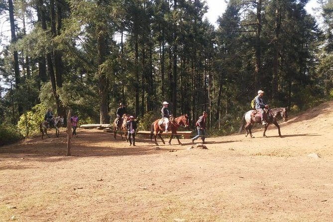 Monarch Butterfly Tour from Mexico City - The Value of the Tour