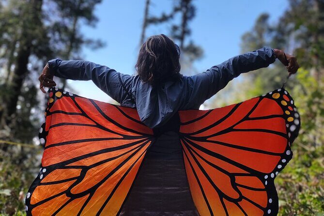 Monarch Butterfly Tour Mexico: Sierra Chuincua and Magic Town - A Deep Dive into the Experience