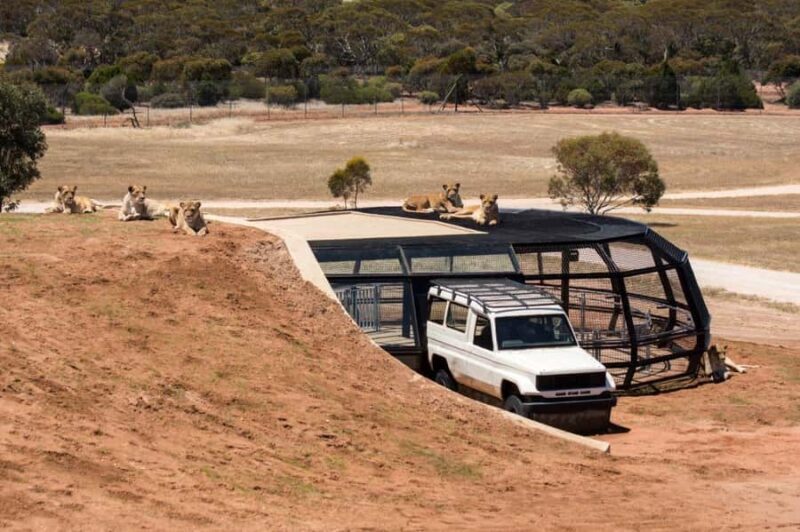 Monarto Safari Park: General Admission Tickets - Frequently Asked Questions