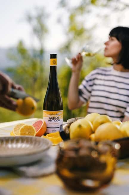 Monção: Quinta da Torre Wine Tasting with Regional Snacks - Key Points