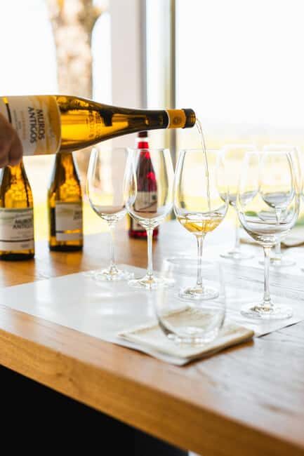 Monção: Quinta da Torre Wine Tasting with Regional Snacks - Why This Tour Might Be Worth It