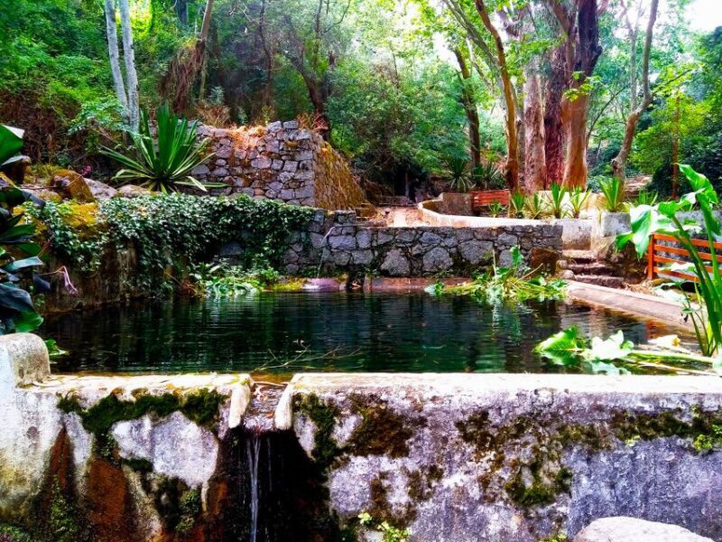 Monchique and Fóia: Half Day Tour - Who Will Love This Tour?