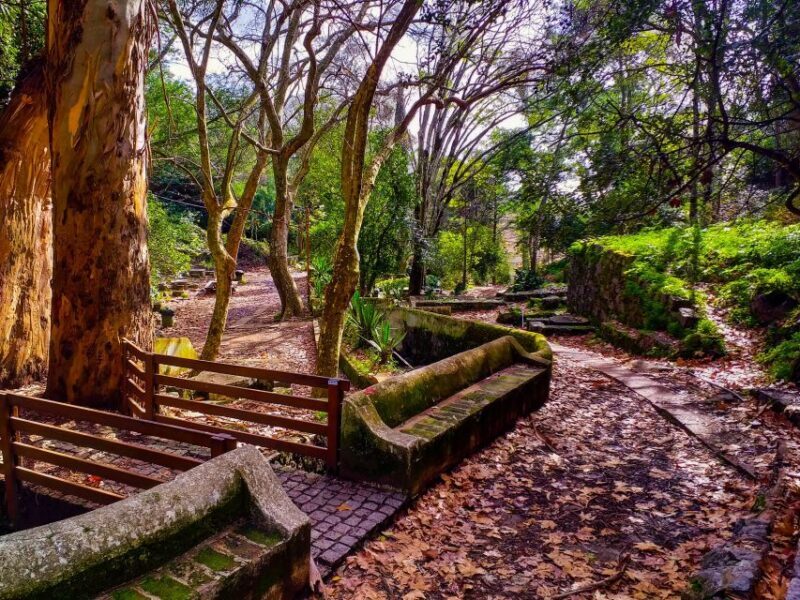 Monchique and Fóia: Half Day Tour - FAQs