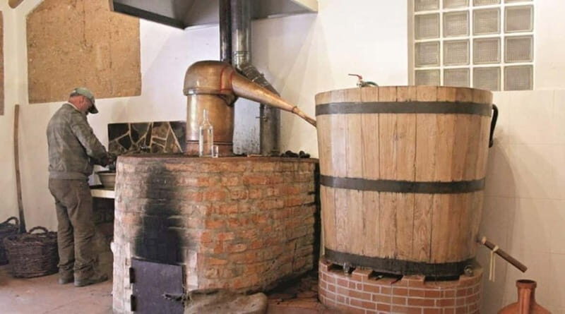 Monchique: Highlights Tour - Who Will Love This Tour?