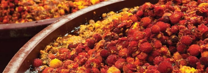 Monchique: Highlights Tour - Final Thoughts