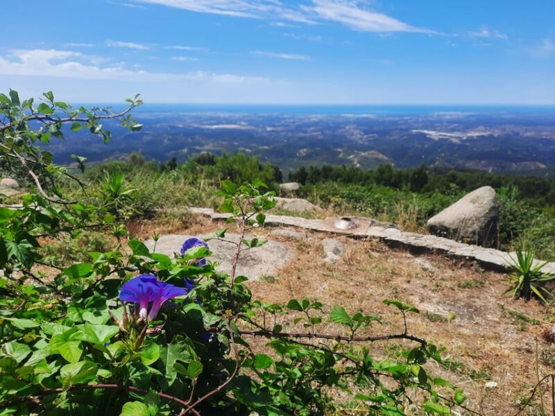 Monchique & Silves: guided day trip - Exploring the Monchique & Silves Tour in Detail