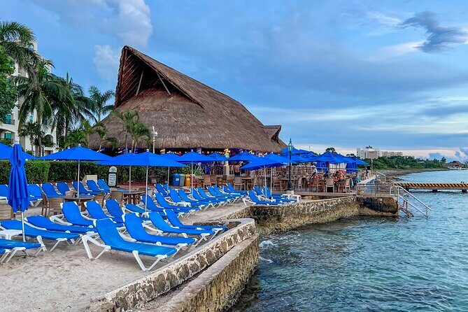 Money Bar All Inclusive Experience with Transportation - What’s the Experience Like Day-to-Day?