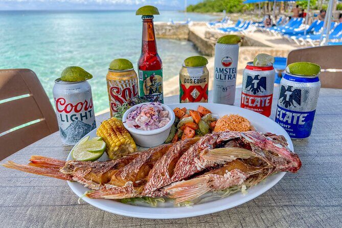 Money Bar All Inclusive Experience with Transportation - Final Thoughts